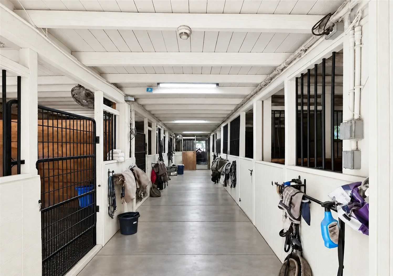 Barn aisle lined with matted stalls, tack, and buckets