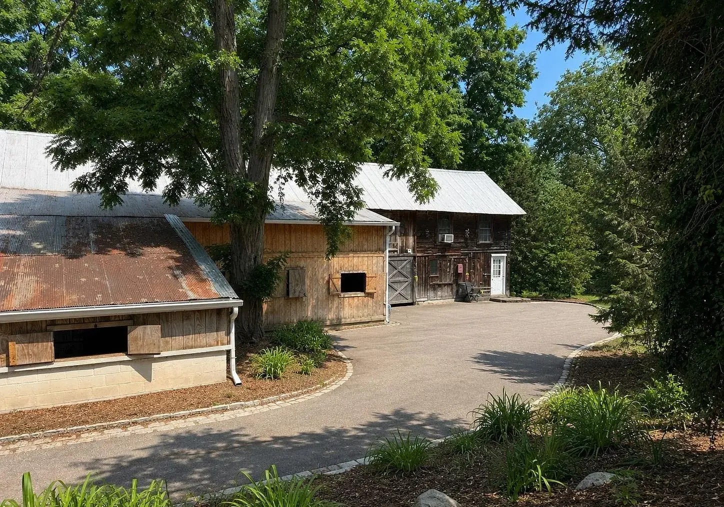 Barn exterior and driveway shaded by mature trees