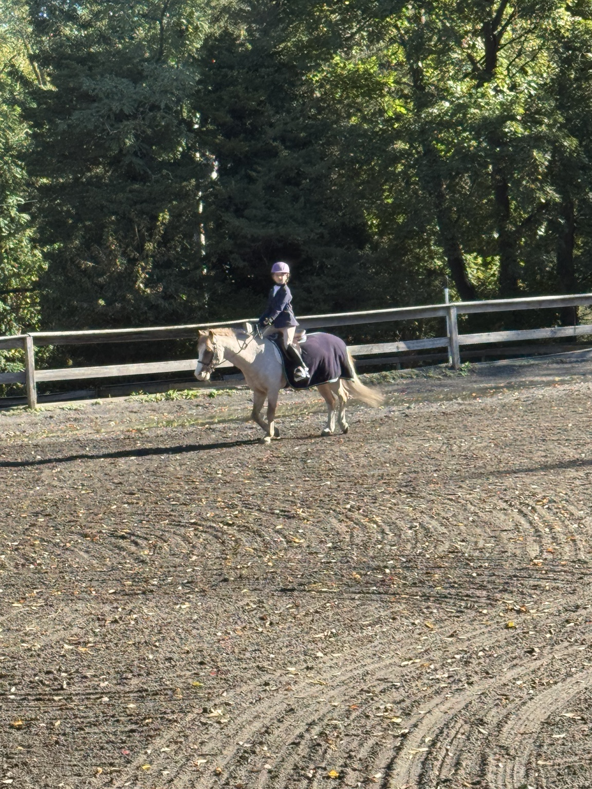 Young rider wearing a purple helmet riding a pony beside the arena fence