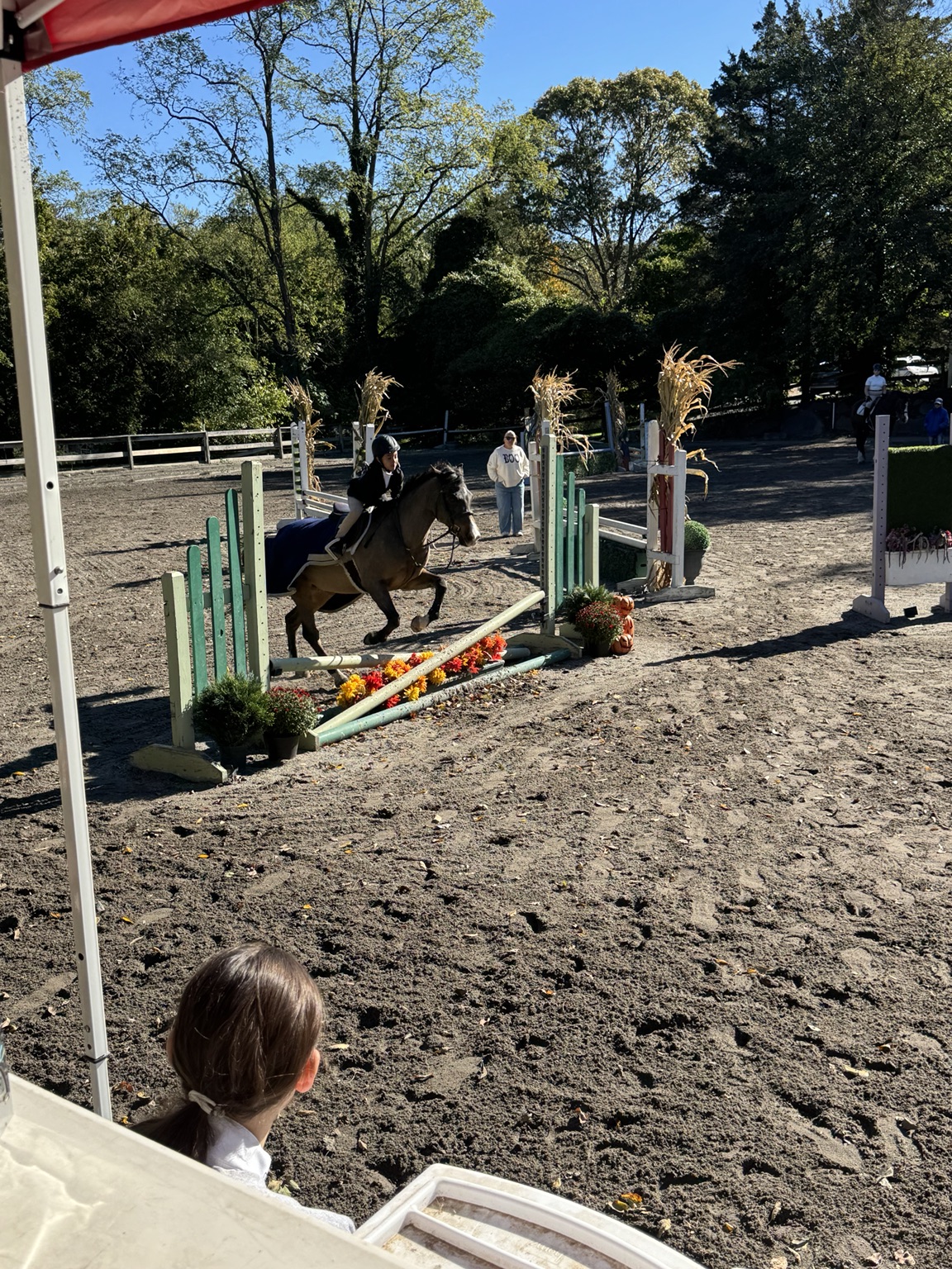 Young rider and pony taking a green crossrail decorated for autumn