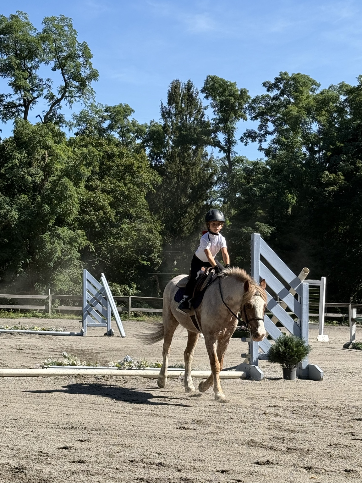 Young rider riding a pony in the outdoor arena