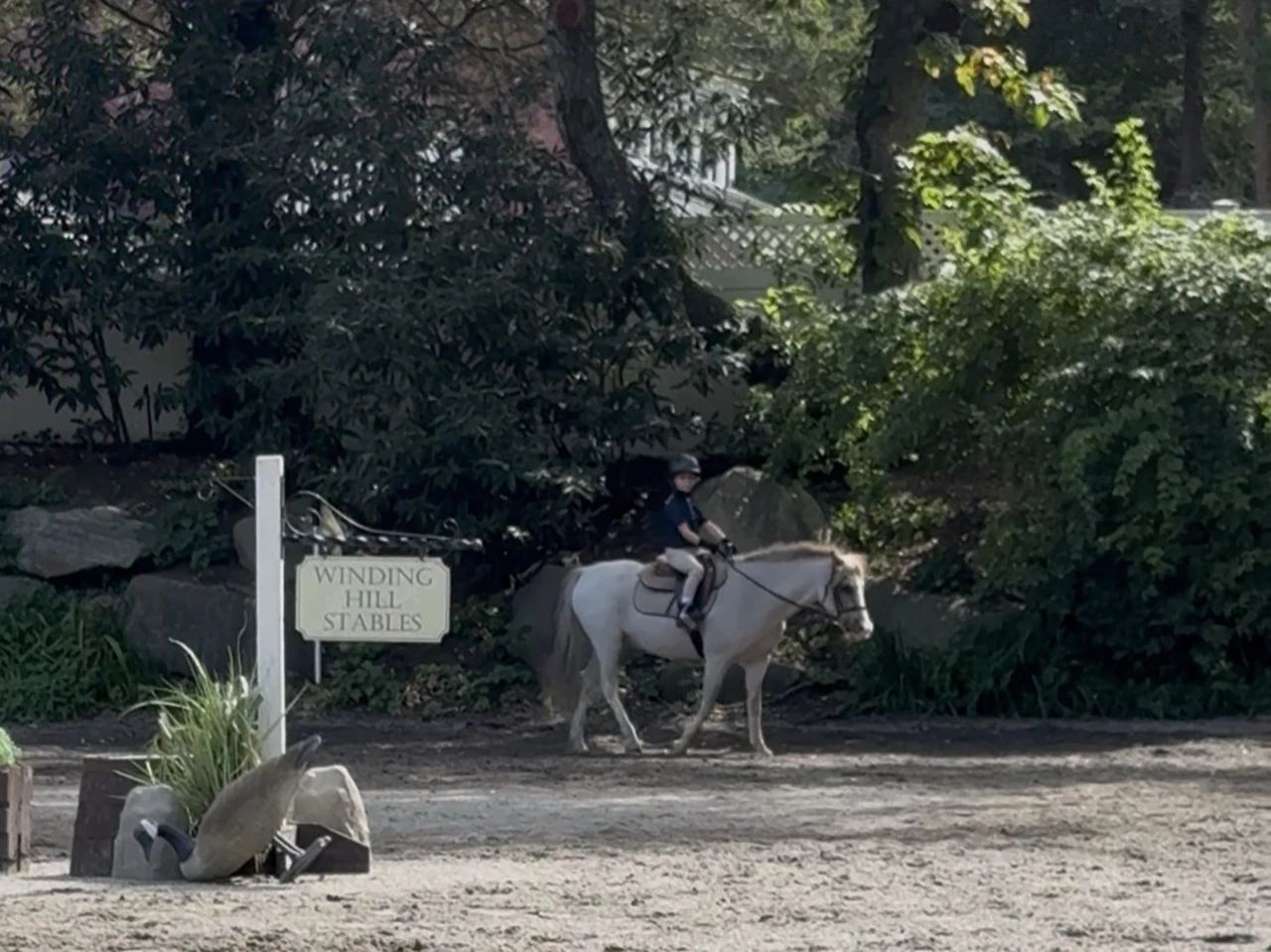 A young rider walking a pony past the Winding Hill Stables sign in the arena