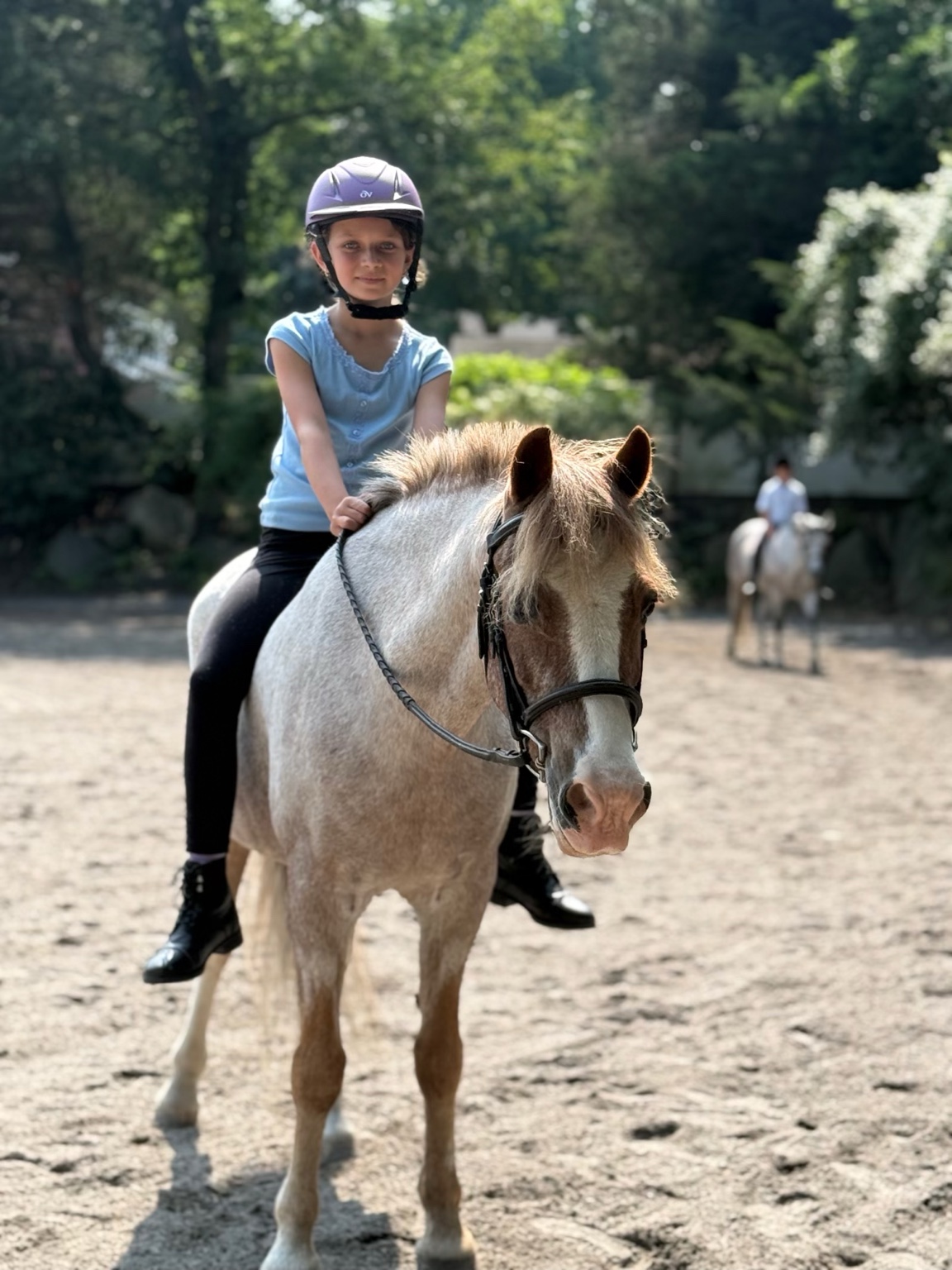 Young rider wearing a purple helmet on a pony in the outdoor arena