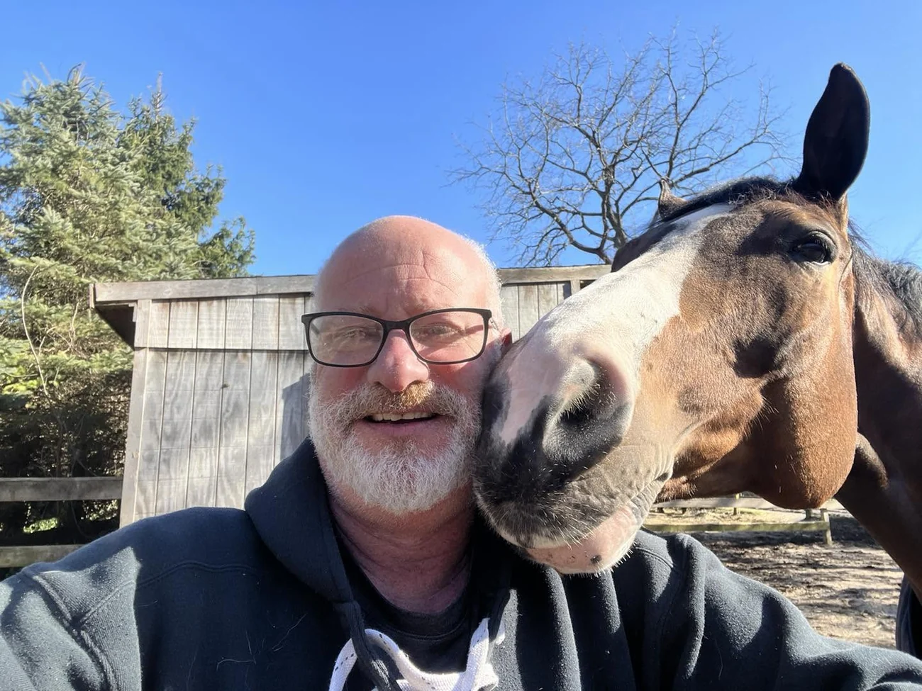 A horse leaning in affectionately beside its owner at the paddock